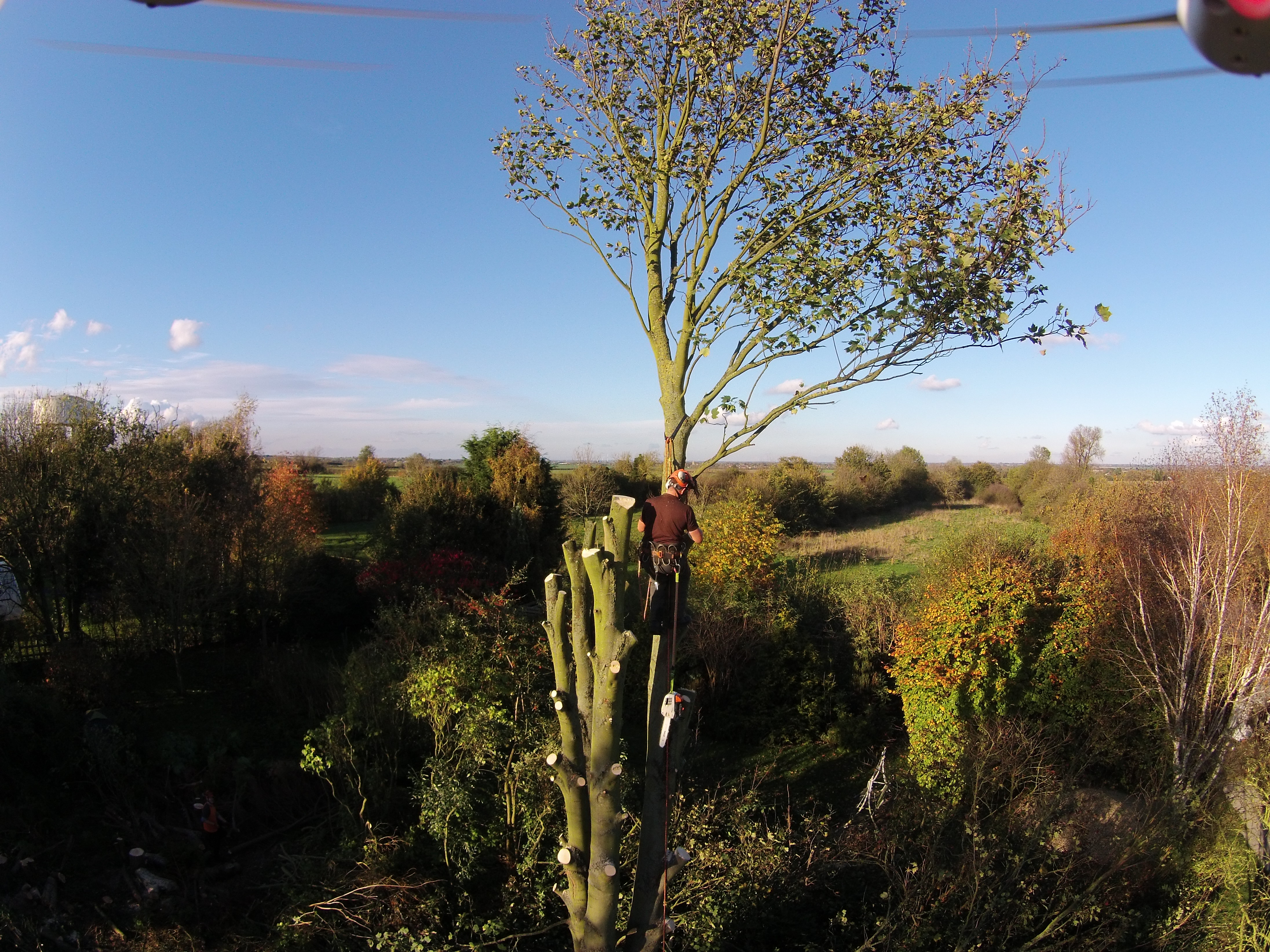 It’s the Bluntisham Chainsaw Massacre! Wood End Manor